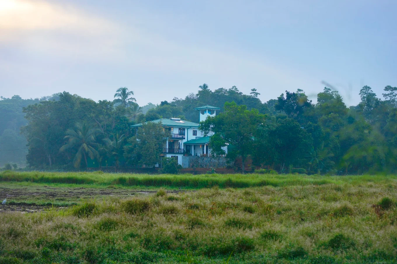 Monkey Island Villa nestled among palms beside green fields